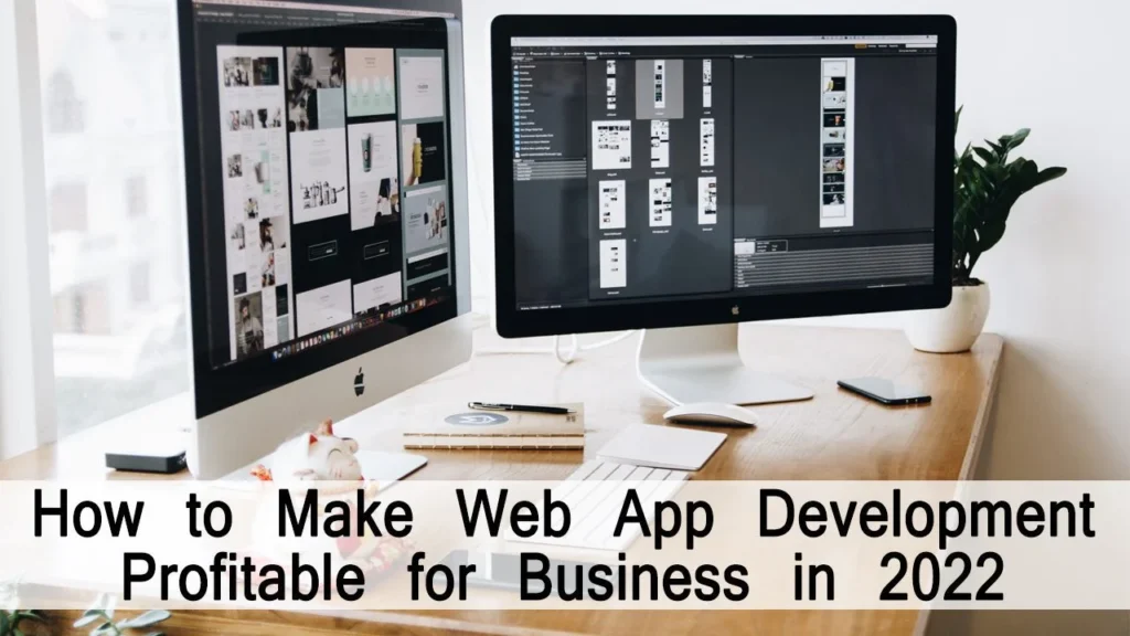 How to Make Web App Development Profitable for Business in 2022